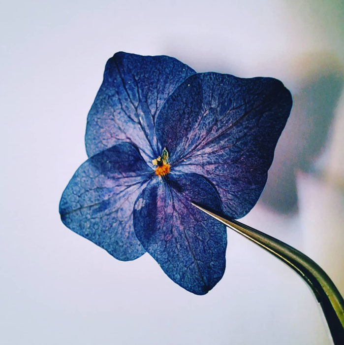 botanica home accessories from mallorca 5 botanica home accessories from mallorca 5