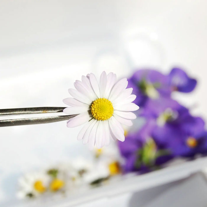 botanica home accessories from mallorca 6 botanica home accessories from mallorca 6