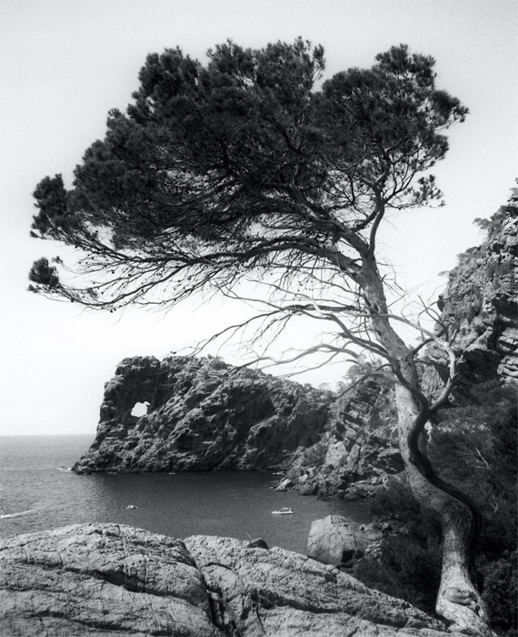 seassence 10 seassence 10